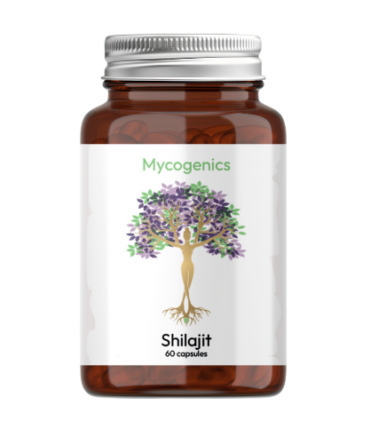 Shilajit Capsules
